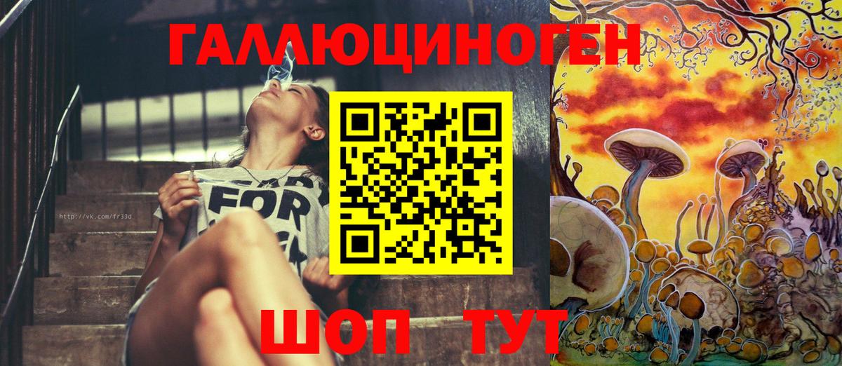 Гудермес  Галлюциногенные грибы Magic Shrooms  Вход с VPN 